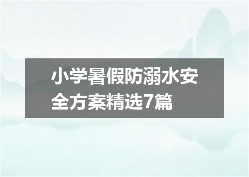 小学暑假防溺水安全方案精选7篇