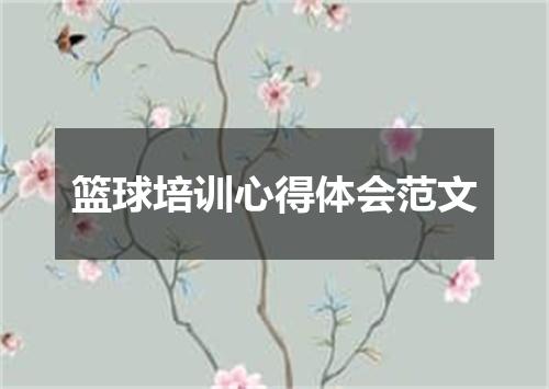 篮球培训心得体会范文