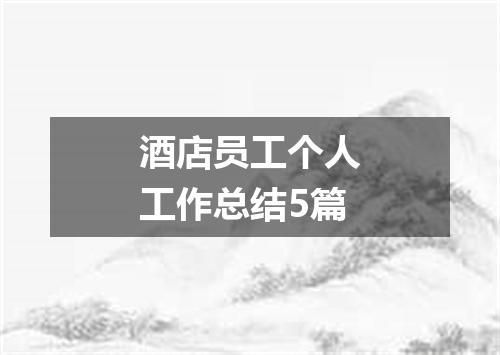 酒店员工个人工作总结5篇