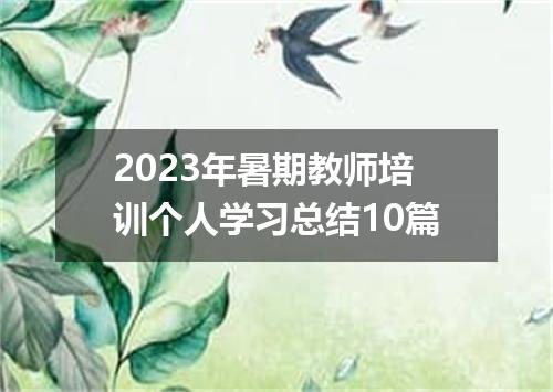 2023年暑期教师培训个人学习总结10篇