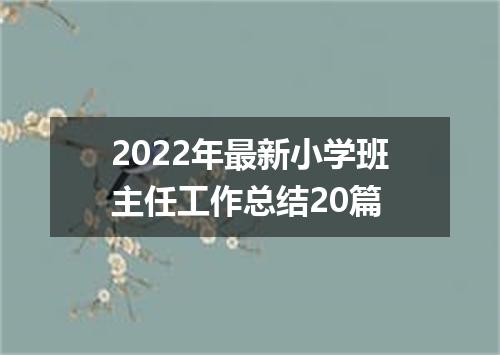 2022年最新小学班主任工作总结20篇
