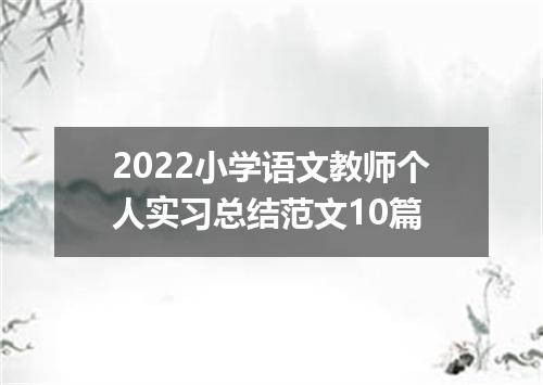 2022小学语文教师个人实习总结范文10篇