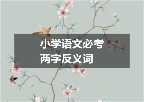小学语文必考两字反义词