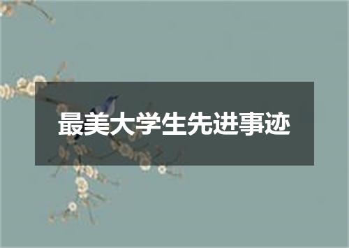 最美大学生先进事迹