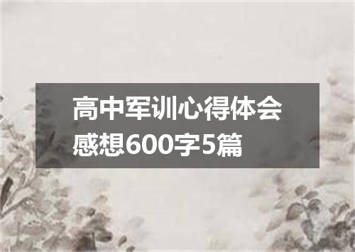 高中军训心得体会感想600字5篇