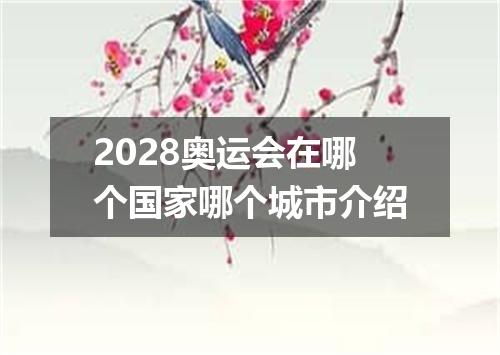 2028奥运会在哪个国家哪个城市介绍