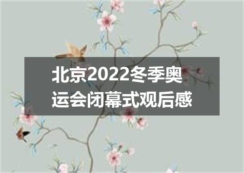 北京2022冬季奥运会闭幕式观后感