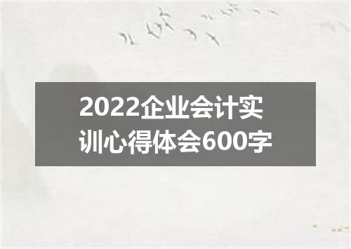 2022企业会计实训心得体会600字