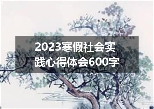 2023寒假社会实践心得体会600字