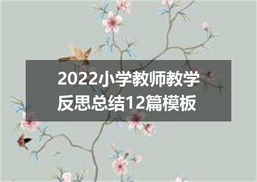2022小学教师教学反思总结12篇模板