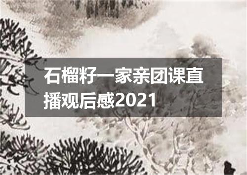 石榴籽一家亲团课直播观后感2021
