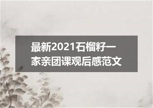 最新2021石榴籽一家亲团课观后感范文