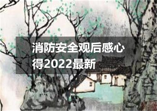 消防安全观后感心得2022最新