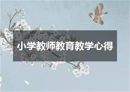 小学教师教育教学心得