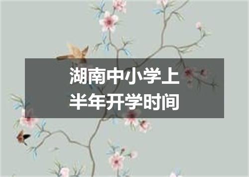湖南中小学上半年开学时间