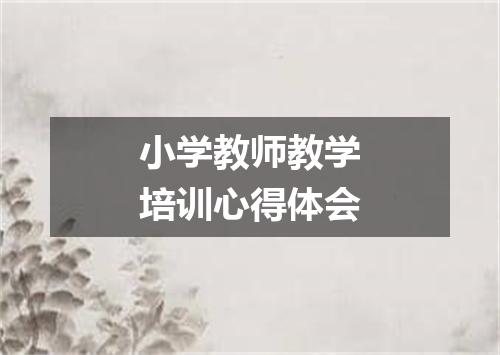 小学教师教学培训心得体会