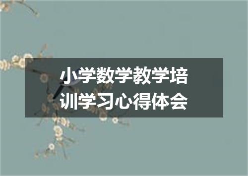 小学数学教学培训学习心得体会