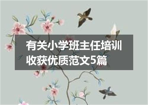 有关小学班主任培训收获优质范文5篇