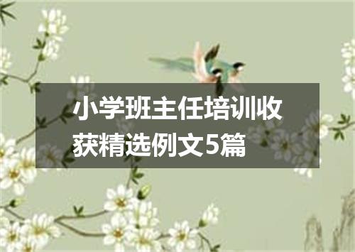 小学班主任培训收获精选例文5篇