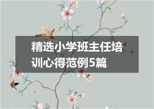 精选小学班主任培训心得范例5篇