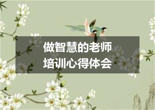 做智慧的老师培训心得体会