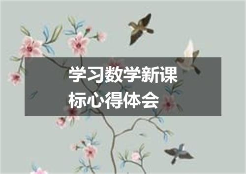 学习数学新课标心得体会