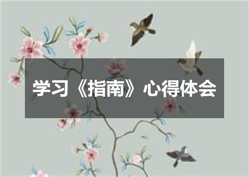 学习《指南》心得体会