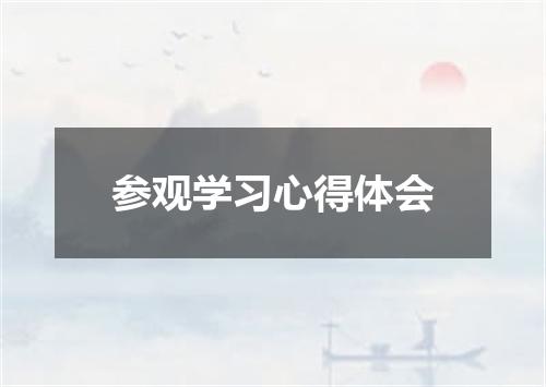参观学习心得体会