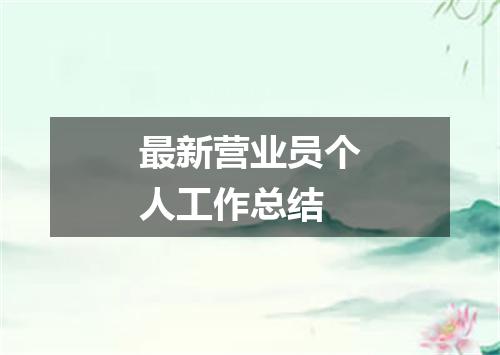 最新营业员个人工作总结