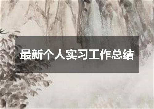 最新个人实习工作总结