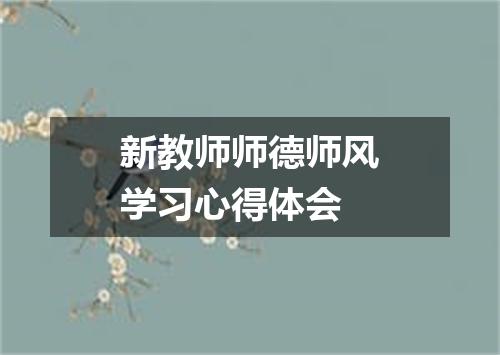 新教师师德师风学习心得体会