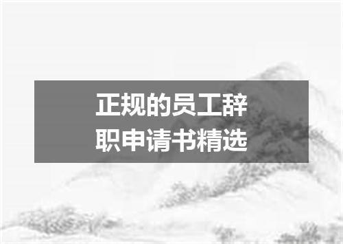正规的员工辞职申请书精选