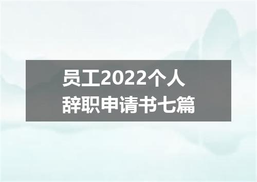 员工2022个人辞职申请书七篇