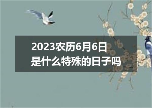 2023农历6月6日是什么特殊的日子吗