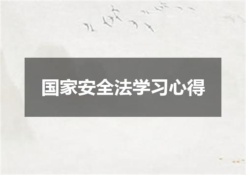 国家安全法学习心得