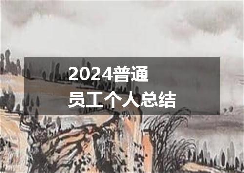 2024普通员工个人总结
