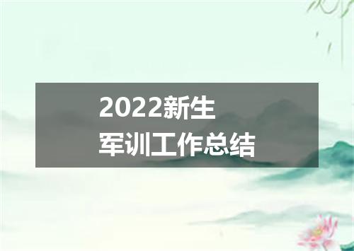 2022新生军训工作总结