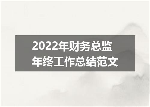 2022年财务总监年终工作总结范文