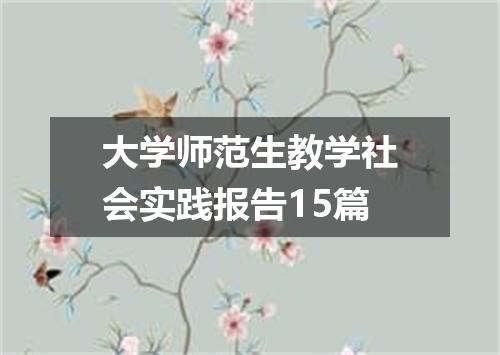 大学师范生教学社会实践报告15篇