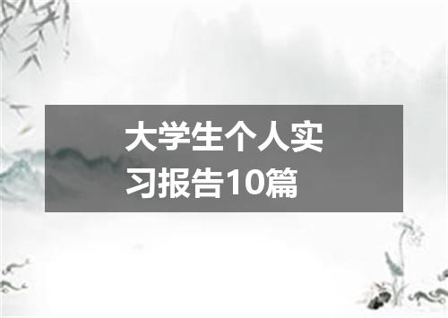 大学生个人实习报告10篇