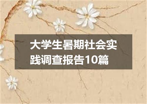 大学生暑期社会实践调查报告10篇