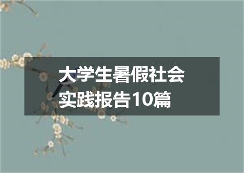 大学生暑假社会实践报告10篇