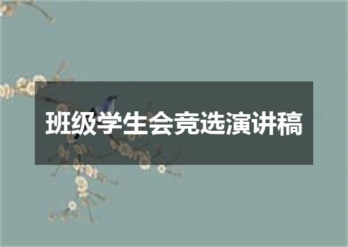 班级学生会竞选演讲稿