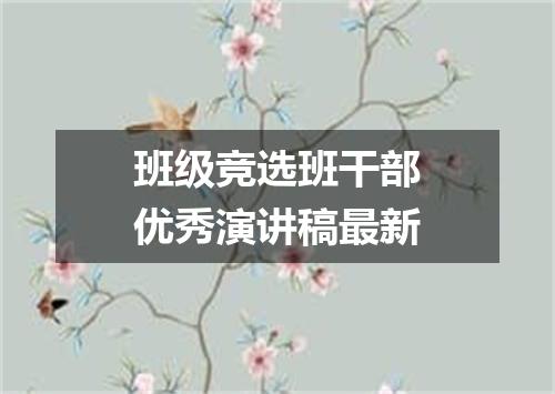 班级竞选班干部优秀演讲稿最新