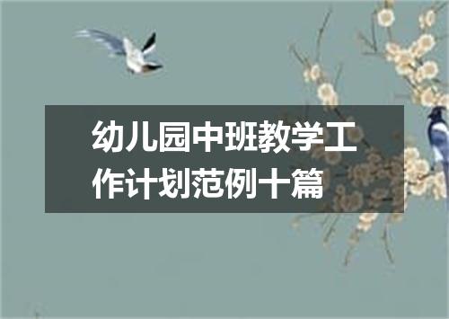 幼儿园中班教学工作计划范例十篇