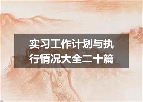 实习工作计划与执行情况大全二十篇