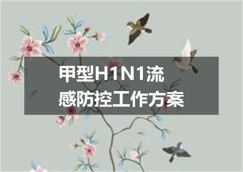 甲型H1N1流感防控工作方案