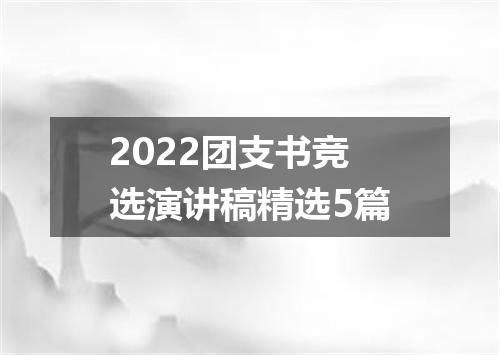 2022团支书竞选演讲稿精选5篇