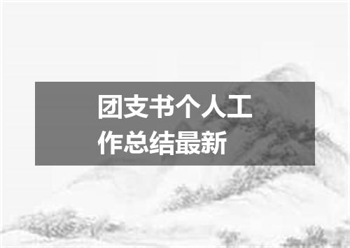 团支书个人工作总结最新
