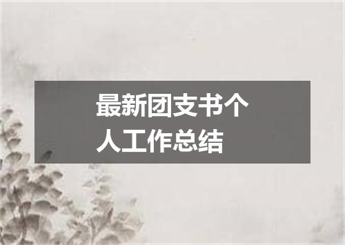 最新团支书个人工作总结